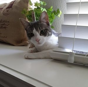 Meet your Posher, Marilyn